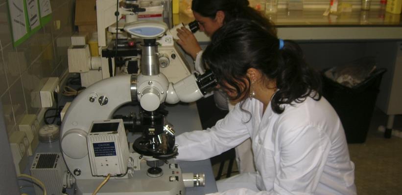 Máster en Descubrimiento de Fármacos: El segundo mejor Máster de Farmacia